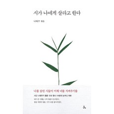 사춘기메들리곽인근프라하