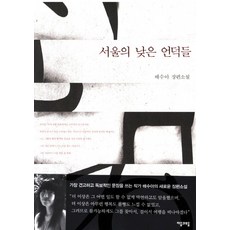 서울의 낮은 언덕들:배수아 장편소설