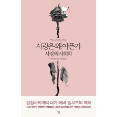 사랑은 왜 아픈가:사랑의 사회학, 돌베개, 에바 일루즈 저/김희상 역