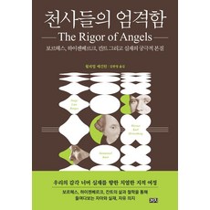 천사들의 엄격함:보르헤스 하이젠베르크 칸트 그리고 실재의 궁극적 본질, 윌리엄 에긴턴 저/김한영 역, 까치