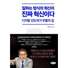 [클라우드나인]일하는 방식의 혁신이 진짜 혁신이다 : 디지털 선도국가 부활의 길, 클라우드나인, 문용식 클라우드나인, 문용식