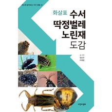 [자연과생태]화살표 수서 딱정벌레 노린재 도감 - 한눈에 알아보는 우리 생물 10, 자연과생태, 정상우 이대현