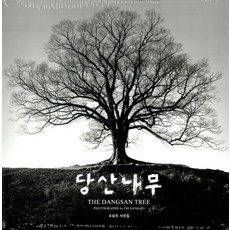 [눈빛]당산나무, 눈빛