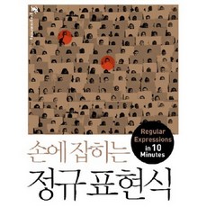 손에 잡히는 정규 표현식, 인사이트