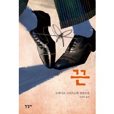 도메니코레오타드