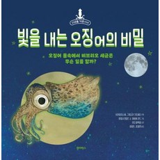 빛을 내는 오징어의 비밀:오징어 몸속에서 비브리오 세균은 무슨 일을 할까?, 원더박스, 아일사 와일드