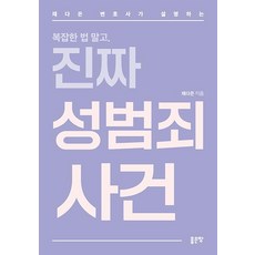 진짜 성범죄 사건:채다은 변호사가 설명하는 복잡한 법 말고, 좋은땅, 채다은
