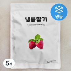 이안상사 국내산 딸기 (냉동), 5개, 1kg