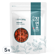 구기자, 300g, 5개