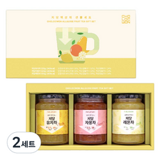 초록원 저당액상차 530g x 3종 선물세트 + 쇼핑백, 2세트, 유자차 + 자몽차 + 레몬차