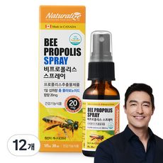 네추럴라이즈 비프로폴리스 스프레이, 30ml, 12개
