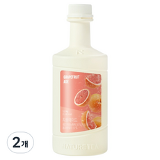 네이쳐티 자몽에이드 베이스, 1.2kg, 2개