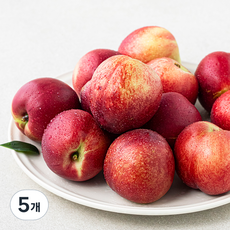 볕이들다 신비복숭아 중소과, 5개, 1kg(12~16입)