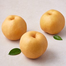 성환 당도선별 제수용 신고배 3입, 1개, 2.2kg