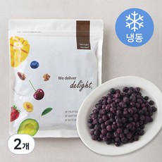 캐나다산 와일드블루베리 (냉동), 500g, 2개