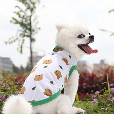 LOCUS 강아지 옷, 녹색