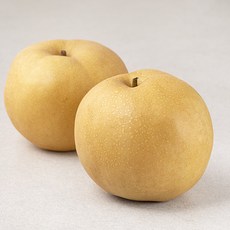 딜리조이 나주 당도선별 신고배, 1.2kg, 1개