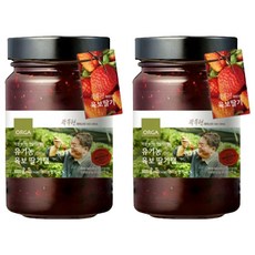 ORGA 유기농 육보 딸기잼, 600g, 2개