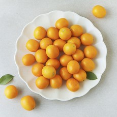 새벽경매 새콤달콤 금귤, 500g, 1팩 500g, 1팩