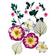 A-ONE 真花壓花 中花包，天然植物壓花 產品尺寸 14.5 x 10.5 CM, 紫花異草