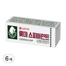 스피아민트 츄잉껌, 26g, 6개