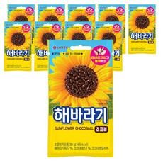 롯데제과 해바라기 초코볼, 30g, 10개