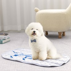 피카노리 로이 애견 쿨매트