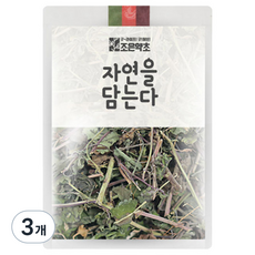 조은약초 금전초, 200g, 3개