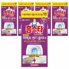 홈스타 맥스 퍼펙트 변기 클리너, 540ml, 5개