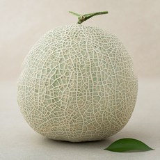 진주 메론, 1.6kg, 1개