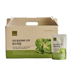 리얼 발효양배추액 위스마일, 1세트, 100ml