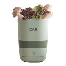 CAS 水果蔬菜家用奶瓶貴金屬眼鏡超聲波清洗機, BEGS002(綠色)