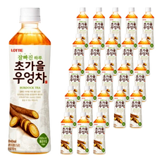 LOTTE 樂天 Chilsung Cider 今日茶 初秋牛蒡茶, 整根牛蒡根熬製，濃郁牛蒡香氣，特殊韓國茶，取代咖啡因, 500ml, 24瓶