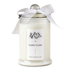 Candle Department Store 森林香氛蠟燭, 依蘭, 750g, 1個