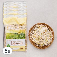 곰곰 뿌리를 다듬어 간편한 하얀숙주 500g, 5봉