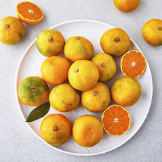 당도선별 11brix 감귤, 1.5kg(로얄과), 1개