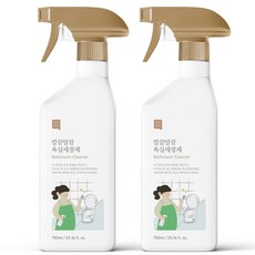 쉼표365 깔끔말끔 대용량 욕실청소용 세정제, 2개, 750ml