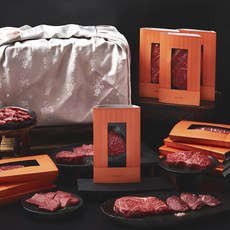 설로인 한우 1++등급 플래티넘 S10 선물세트 (냉장) 꽃등심400g*3+갈비살200g+꽃갈비살200g+채끝400g*3+살치살200g*2+안창살200g+안심150g*4, 4000g, 1세트