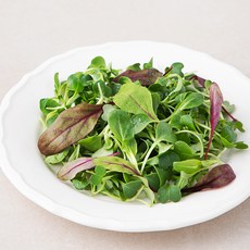 친환경 어린잎 채소, 40g, 1개