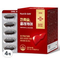 뉴트리디데이 칸씨슬 콜레케어 48g