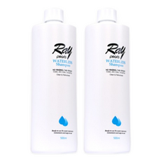 Ray pearls 乾洗髮沐浴露補充罐, 500ml, 2個