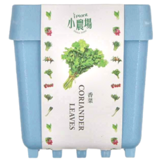 iPlant 積木農場盆栽, 香菜