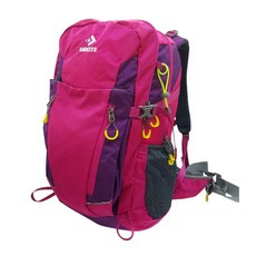 DIBOTE迪伯特 專業登山休閒背包40L 輕量化 舒適透氣 玫色