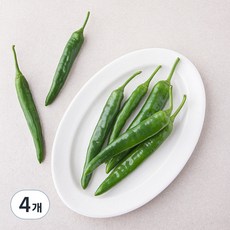 국내산 유기농 오이고추, 300g, 4개