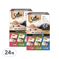 쉬바 어덜트 고양이 리치 미니 파우치 3종, 해산물, 35g, 24개 해산물, 12개