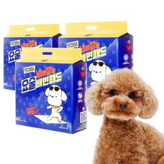 파워에이충전독