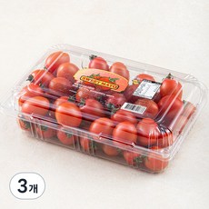 스윗마토 달콤아삭한 토마토, 1kg, 3팩