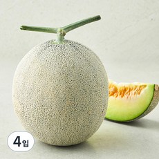 농협 유명산지 멜론