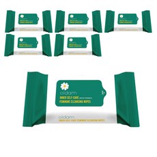 OLDam 女性私密護理濕巾 - 女性專用, 便攜式, 60g, 20張, 6包