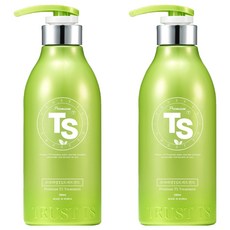 TS 프리미엄 헤어트리트먼트, 500ml, 2개